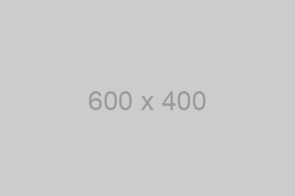 400×400 - Gruppo Patelli